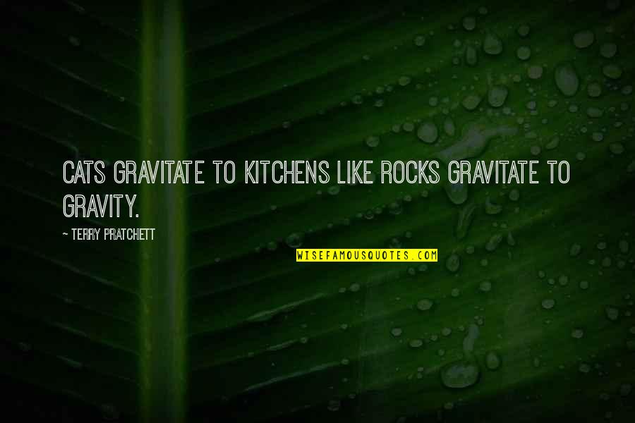 Most Beautiful Person In The World Quotes By Terry Pratchett: Cats gravitate to kitchens like rocks gravitate to