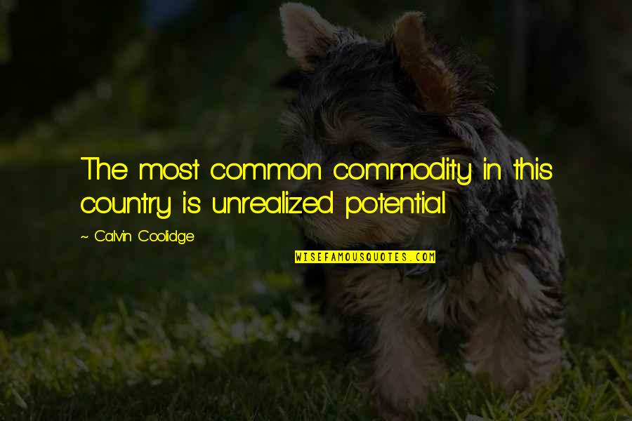 Most Common Quotes By Calvin Coolidge: The most common commodity in this country is