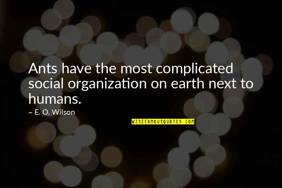 Most Complicated Quotes By E. O. Wilson: Ants have the most complicated social organization on