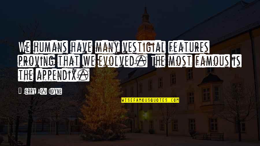 Most Famous Quotes By Jerry A. Coyne: We humans have many vestigial features proving that Most Famous Quotes By Jerry A. Coyne: We humans have many vestigial features proving that