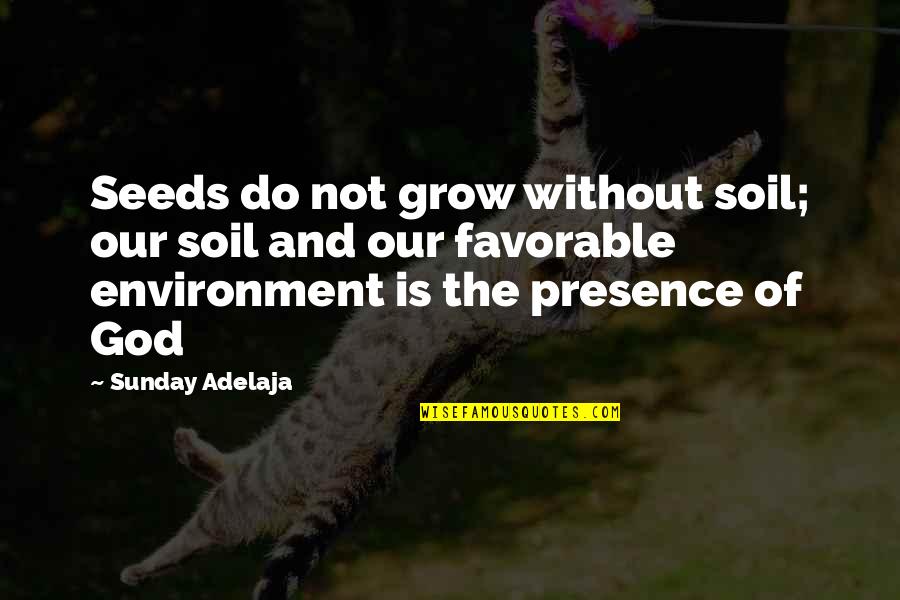 Most Favorable Quotes By Sunday Adelaja: Seeds do not grow without soil; our soil