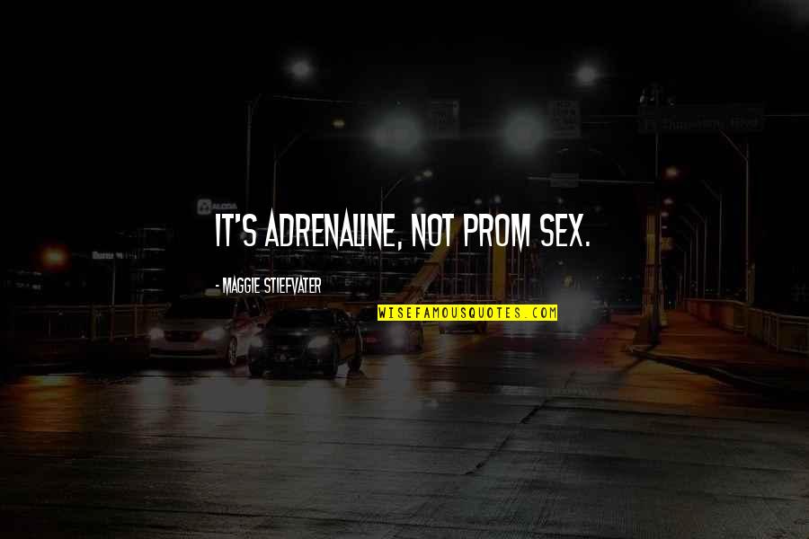 Most Heart Touching Islamic Quotes By Maggie Stiefvater: It's adrenaline, not prom sex. Most Heart Touching Islamic Quotes By Maggie Stiefvater: It's adrenaline, not prom sex.