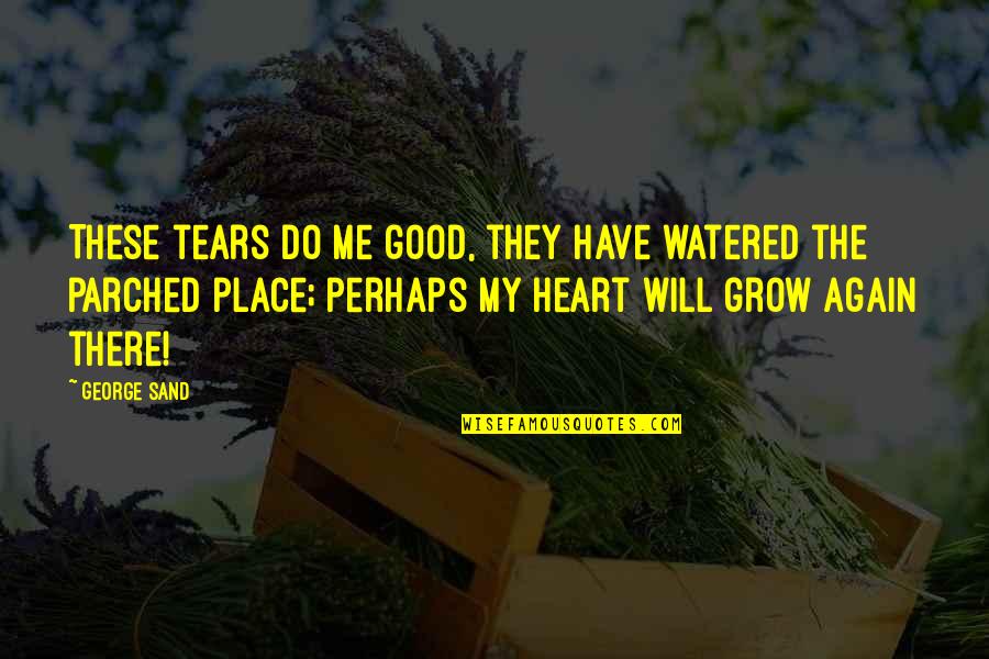 Most Iconic Shrek Quotes By George Sand: These tears do me good, they have watered Most Iconic Shrek Quotes By George Sand: These tears do me good, they have watered
