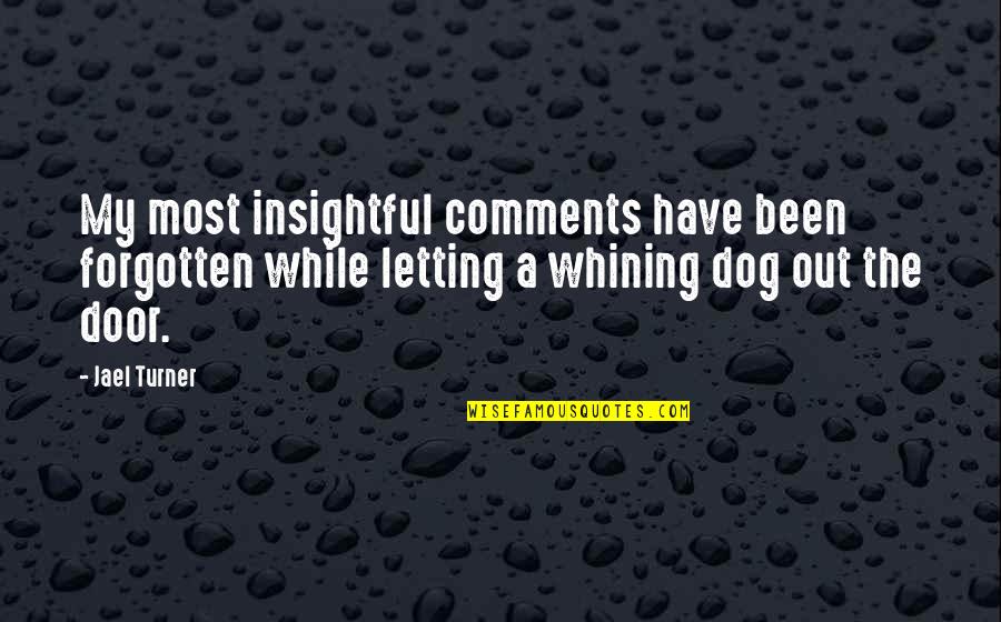 Most Insightful Quotes By Jael Turner: My most insightful comments have been forgotten while