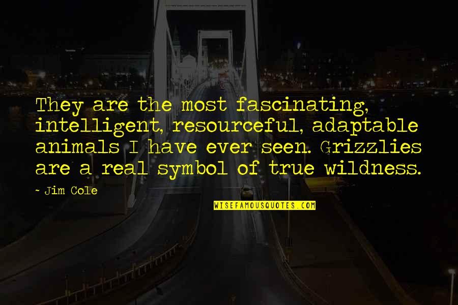 Most Intelligent Quotes By Jim Cole: They are the most fascinating, intelligent, resourceful, adaptable