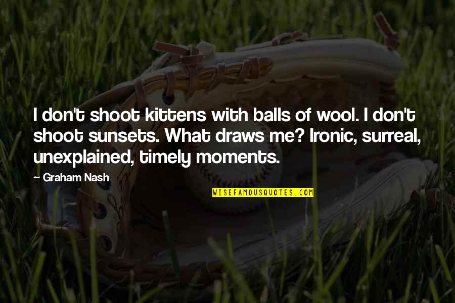 Most Ironic Quotes By Graham Nash: I don't shoot kittens with balls of wool.