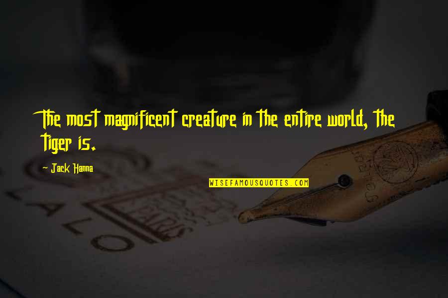Most Magnificent Quotes By Jack Hanna: The most magnificent creature in the entire world,