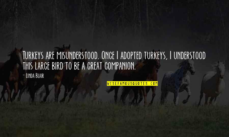 Most Misunderstood Quotes By Linda Blair: Turkeys are misunderstood. Once I adopted turkeys, I