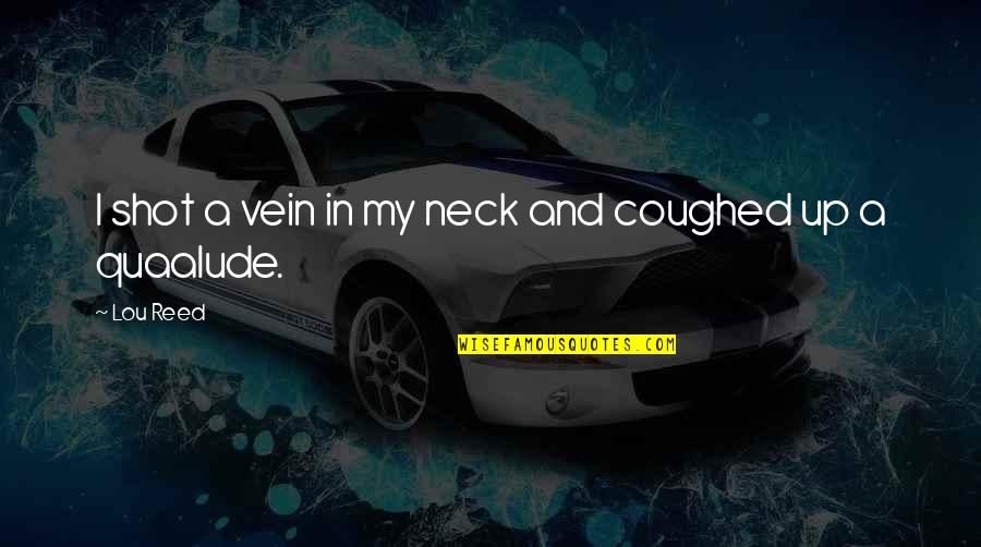 Most Offensive Family Guy Quotes By Lou Reed: I shot a vein in my neck and