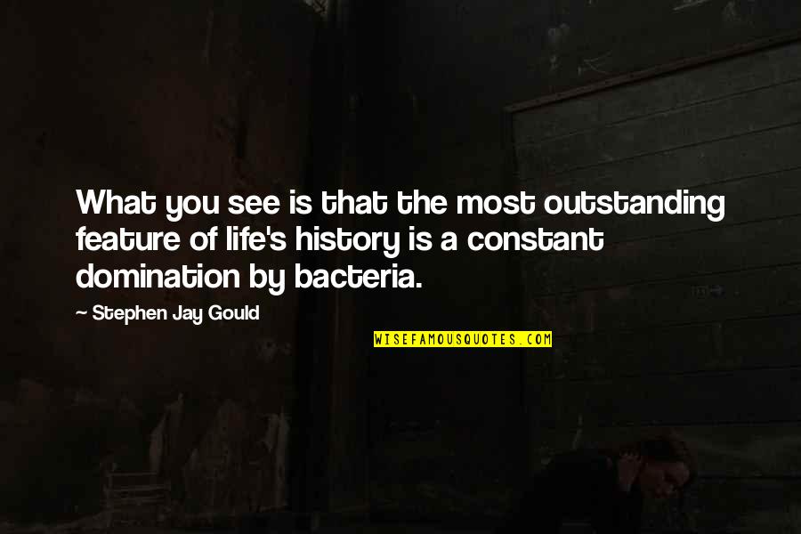 Most Outstanding Quotes By Stephen Jay Gould: What you see is that the most outstanding Most Outstanding Quotes By Stephen Jay Gould: What you see is that the most outstanding