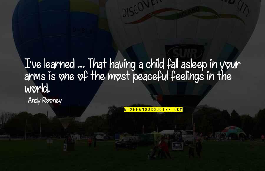 Most Peaceful Quotes By Andy Rooney: I've learned ... That having a child fall