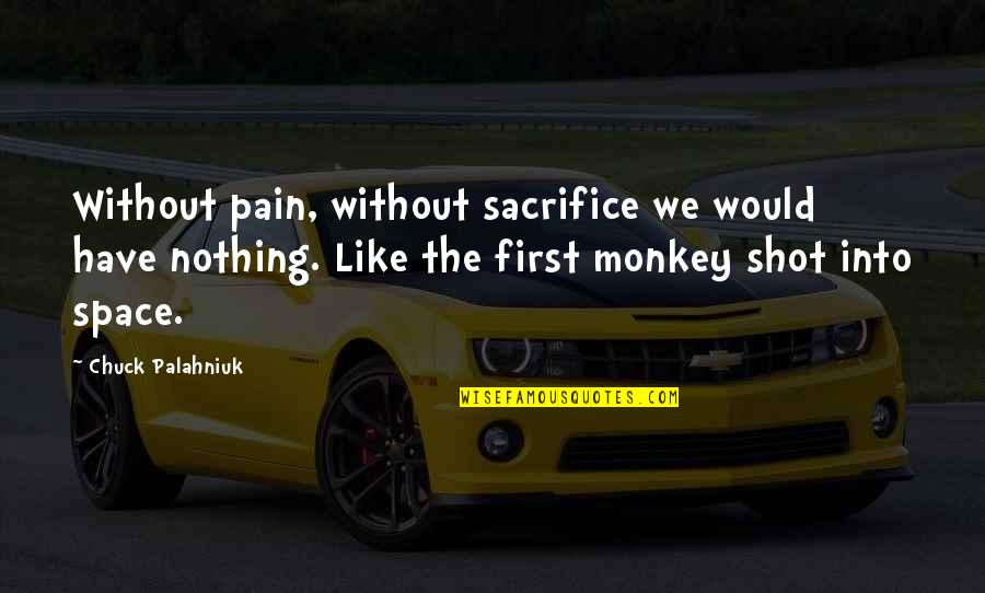 Most Pointless Quotes By Chuck Palahniuk: Without pain, without sacrifice we would have nothing.