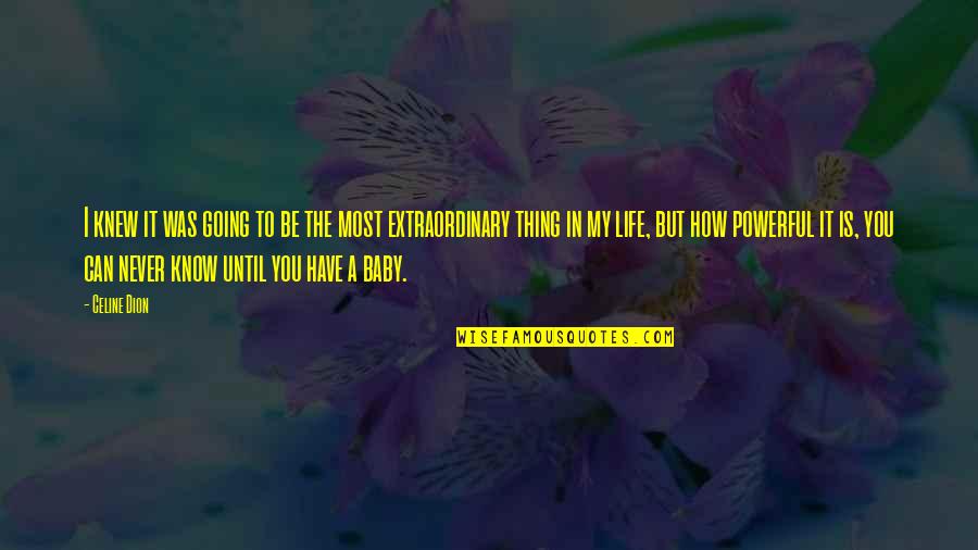Most Powerful Thing In Life Quotes By Celine Dion: I knew it was going to be the Most Powerful Thing In Life Quotes By Celine Dion: I knew it was going to be the
