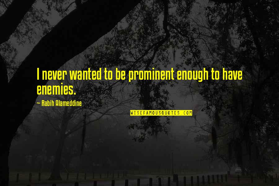 Most Prominent Quotes By Rabih Alameddine: I never wanted to be prominent enough to Most Prominent Quotes By Rabih Alameddine: I never wanted to be prominent enough to
