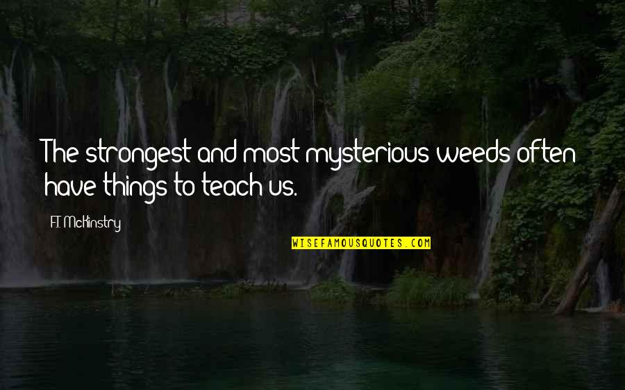 Most Strongest Quotes By F.T. McKinstry: The strongest and most mysterious weeds often have