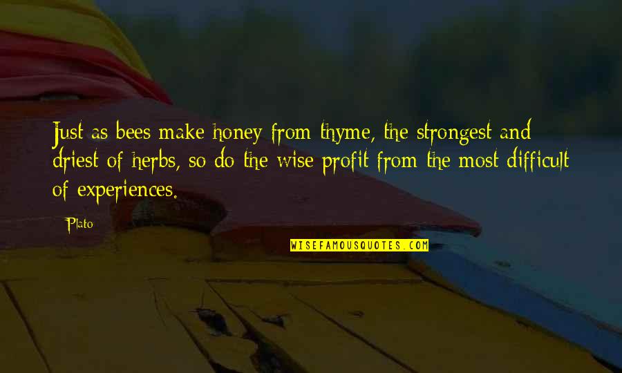 Most Strongest Quotes By Plato: Just as bees make honey from thyme, the