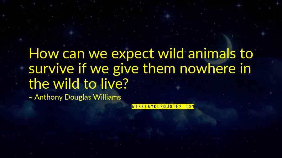 Most Valuable Gift Quotes By Anthony Douglas Williams: How can we expect wild animals to survive Most Valuable Gift Quotes By Anthony Douglas Williams: How can we expect wild animals to survive