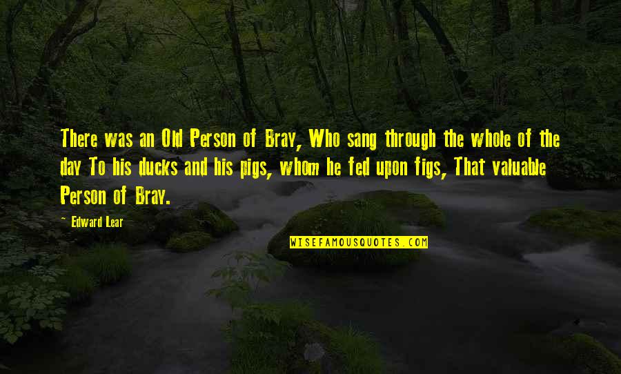 Most Valuable Person Quotes By Edward Lear: There was an Old Person of Bray, Who