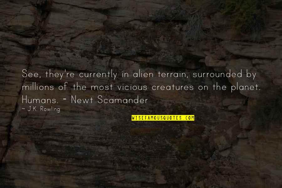 Most Vicious Quotes By J.K. Rowling: See, they're currently in alien terrain, surrounded by