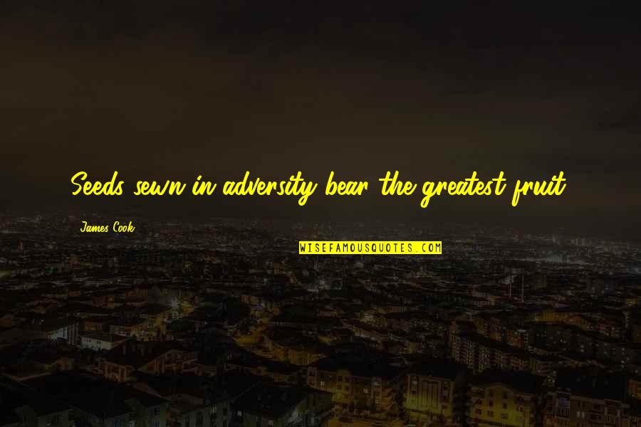 Most Well Known Office Quotes By James Cook: Seeds sewn in adversity bear the greatest fruit.