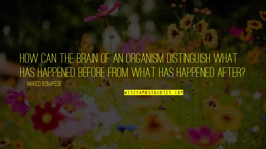 Mostert Injury Quotes By Marco Bonafede: How can the brain of an organism distinguish