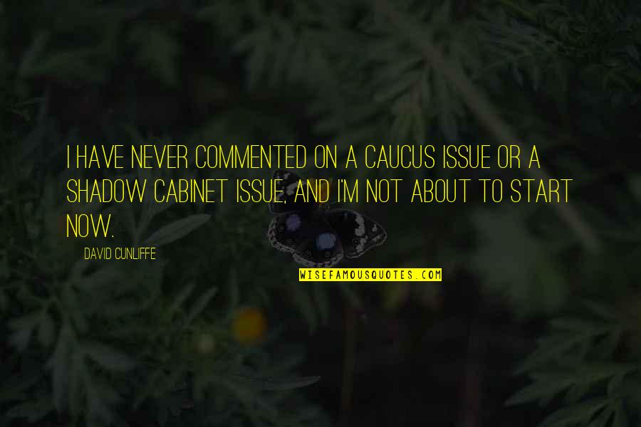 Mostre Quotes By David Cunliffe: I have never commented on a caucus issue Mostre Quotes By David Cunliffe: I have never commented on a caucus issue