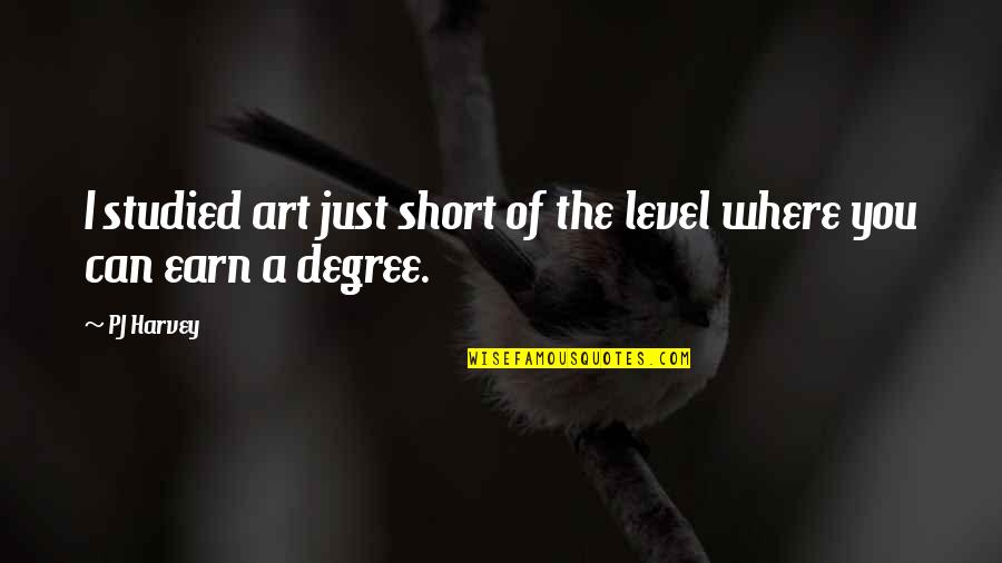 Motels On The Beach Quotes By PJ Harvey: I studied art just short of the level