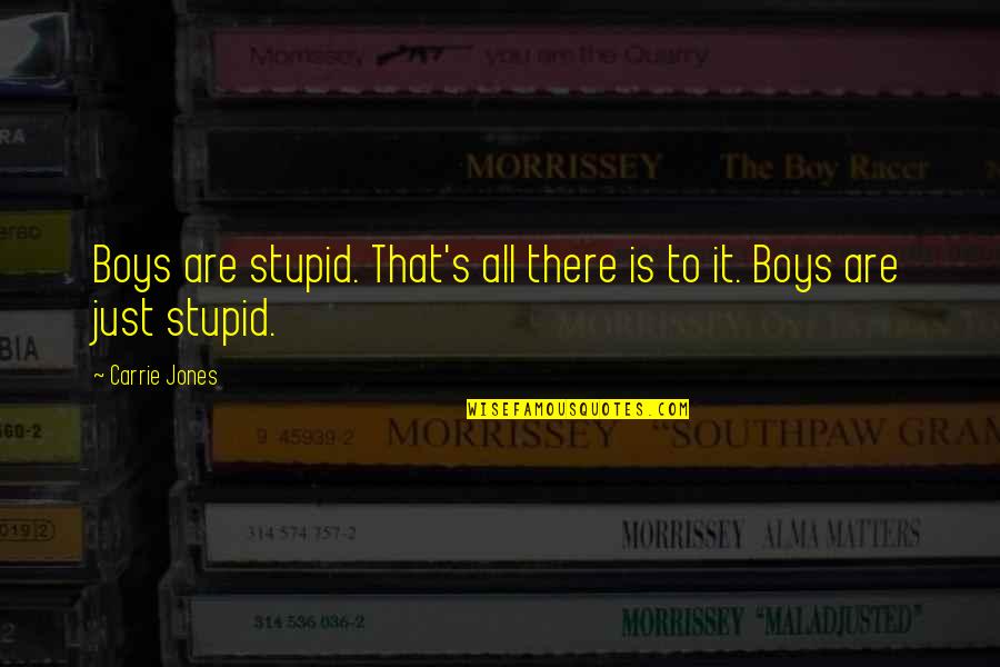 Motes Quotes By Carrie Jones: Boys are stupid. That's all there is to