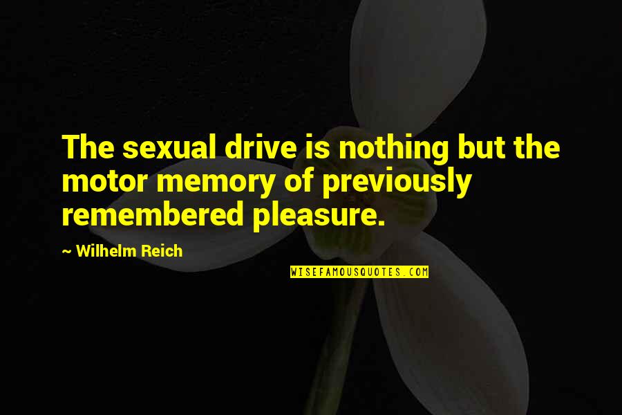 Motet Quotes By Wilhelm Reich: The sexual drive is nothing but the motor