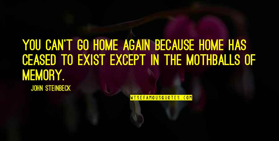 Mothballs Quotes By John Steinbeck: You can't go home again because home has