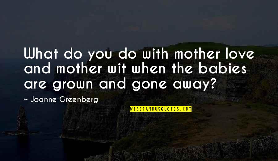 Mother And Baby Quotes By Joanne Greenberg: What do you do with mother love and