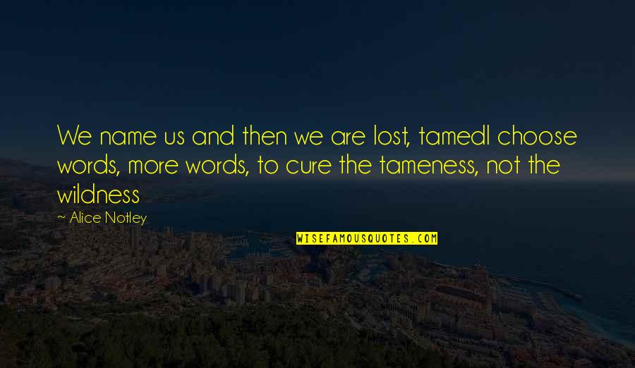 Mother And Child Inspirational Quotes By Alice Notley: We name us and then we are lost,