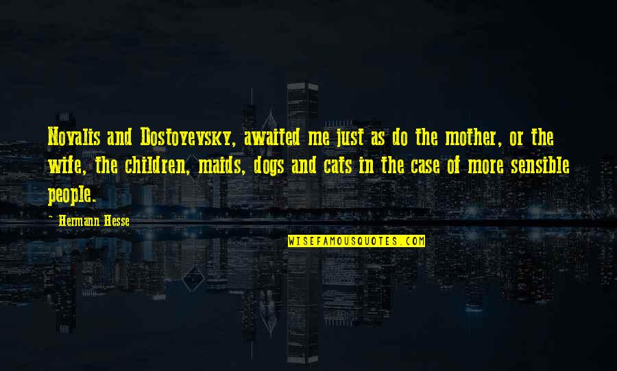 Mother And Wife Quotes By Hermann Hesse: Novalis and Dostoyevsky, awaited me just as do