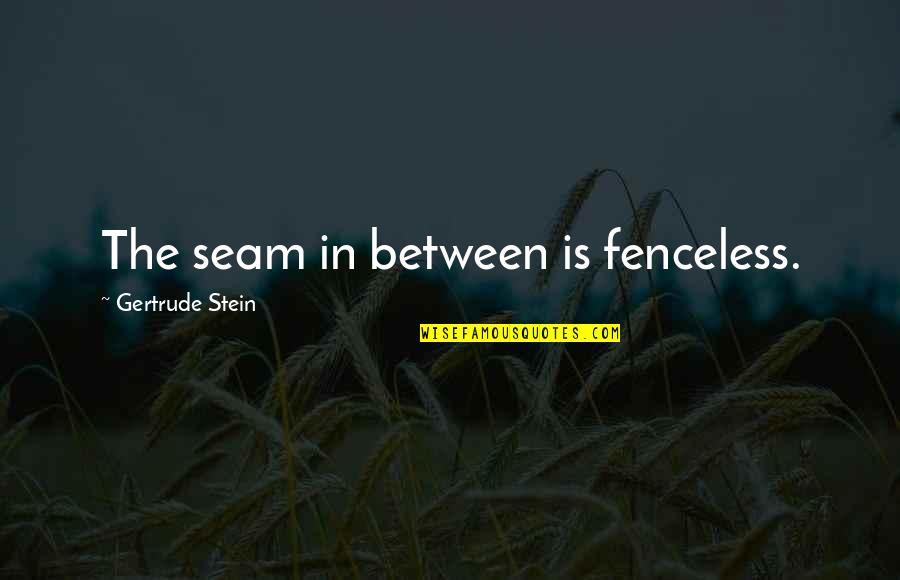 Mother Daughter Duo Quotes By Gertrude Stein: The seam in between is fenceless.