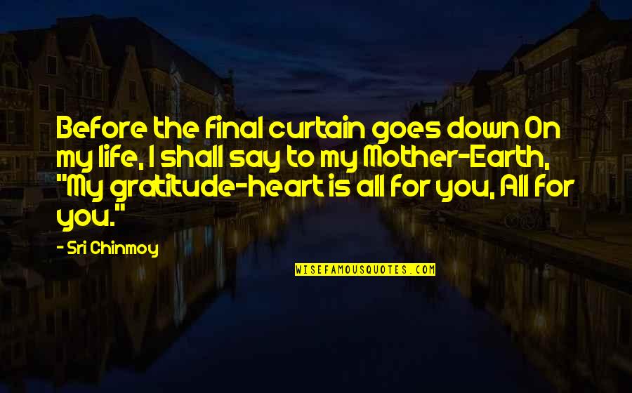 Mother Gratitude Quotes By Sri Chinmoy: Before the final curtain goes down On my