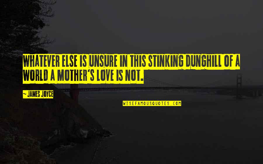 Mother Is World Quotes By James Joyce: Whatever else is unsure in this stinking dunghill