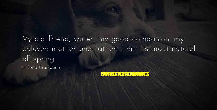 Mother My Friend Quotes By Doris Grumbach: My old friend, water, my good companion, my Mother My Friend Quotes By Doris Grumbach: My old friend, water, my good companion, my