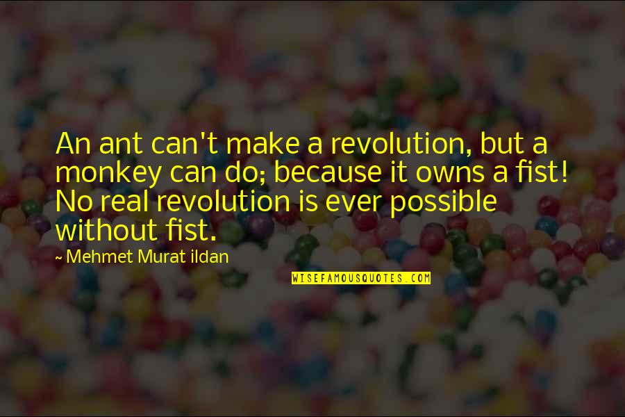 Mother Nature Bible Quotes By Mehmet Murat Ildan: An ant can't make a revolution, but a