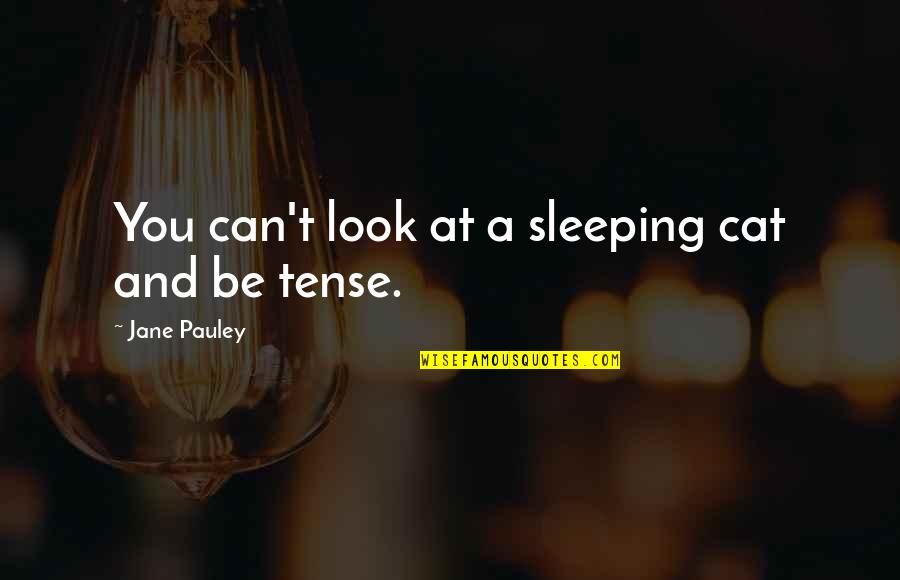 Mother Nature Environment Quotes By Jane Pauley: You can't look at a sleeping cat and Mother Nature Environment Quotes By Jane Pauley: You can't look at a sleeping cat and