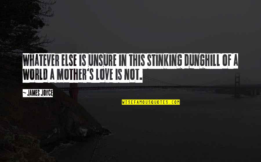 Mother S Love Quotes By James Joyce: Whatever else is unsure in this stinking dunghill