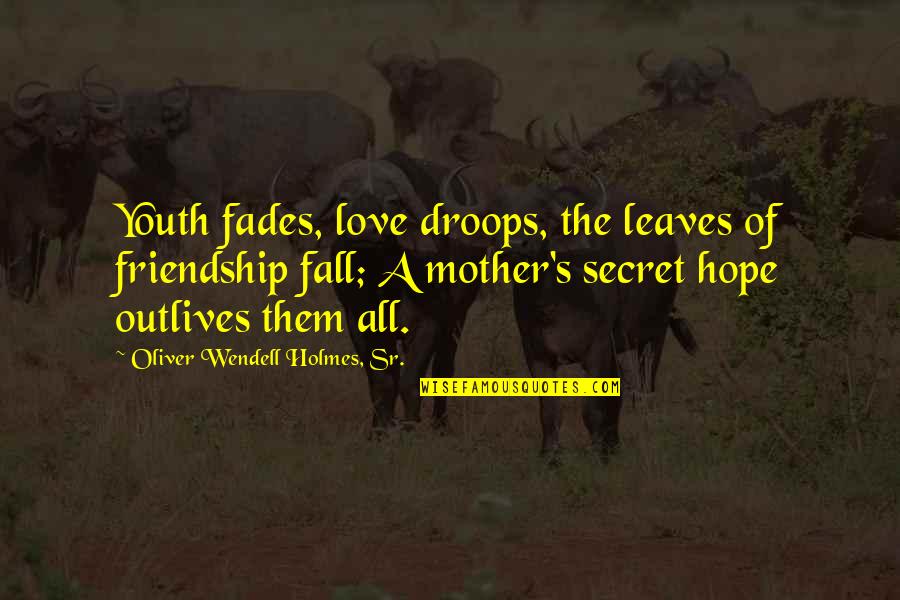 Mother S Love Quotes By Oliver Wendell Holmes, Sr.: Youth fades, love droops, the leaves of friendship