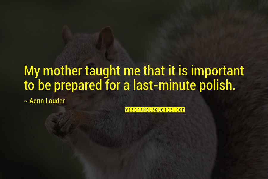 Mother Taught Me Quotes By Aerin Lauder: My mother taught me that it is important