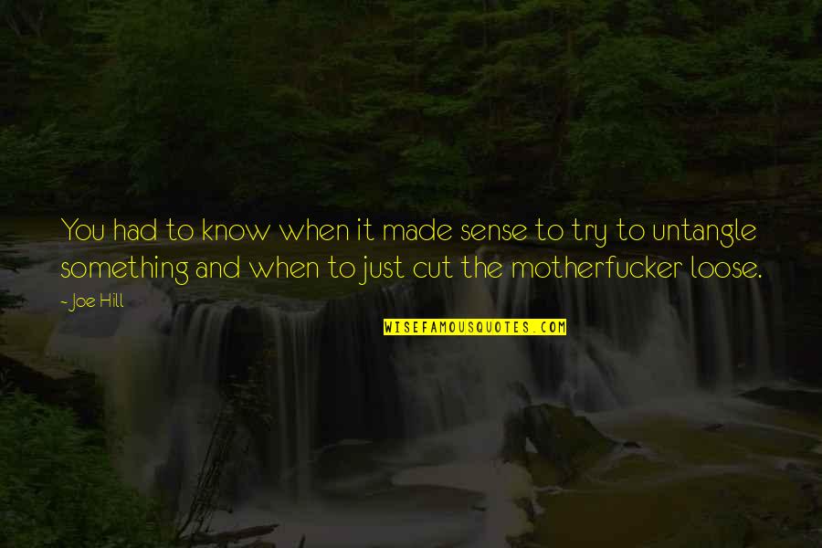 Motherfucker Quotes By Joe Hill: You had to know when it made sense
