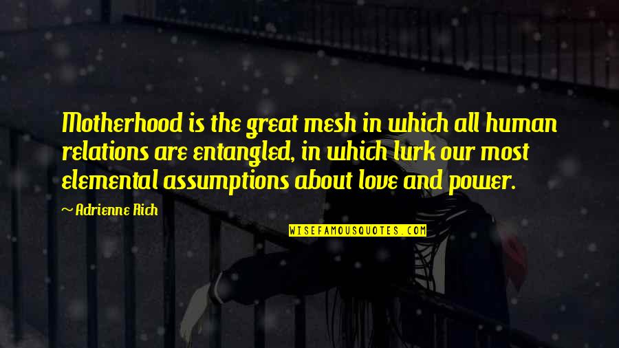 Motherhood And Love Quotes By Adrienne Rich: Motherhood is the great mesh in which all