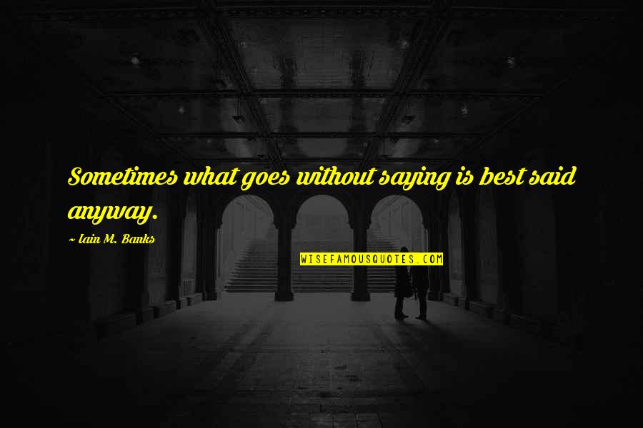 Mothering Ourselves Quotes By Iain M. Banks: Sometimes what goes without saying is best said