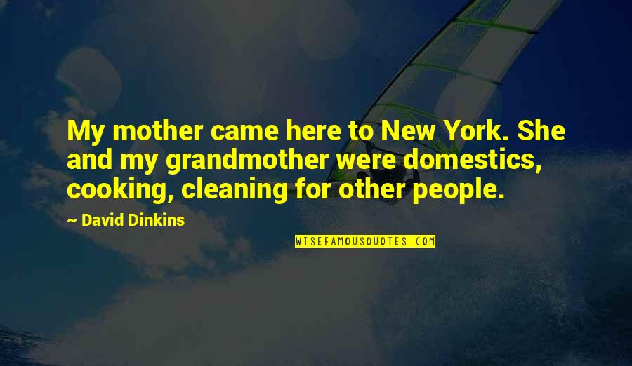 Mother's Cooking Quotes By David Dinkins: My mother came here to New York. She