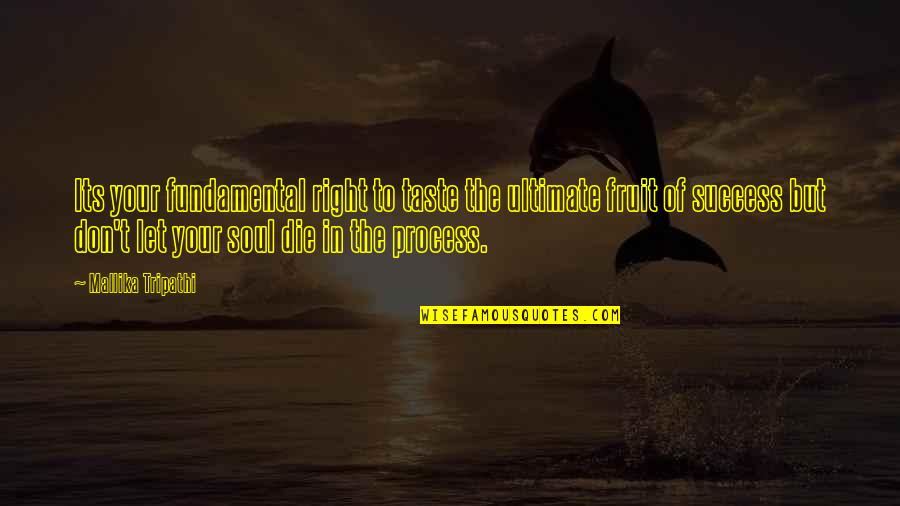 Mothur Quotes By Mallika Tripathi: Its your fundamental right to taste the ultimate Mothur Quotes By Mallika Tripathi: Its your fundamental right to taste the ultimate