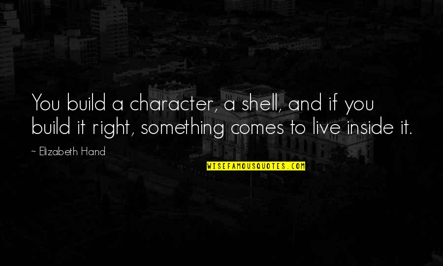 Motivacion Quotes By Elizabeth Hand: You build a character, a shell, and if