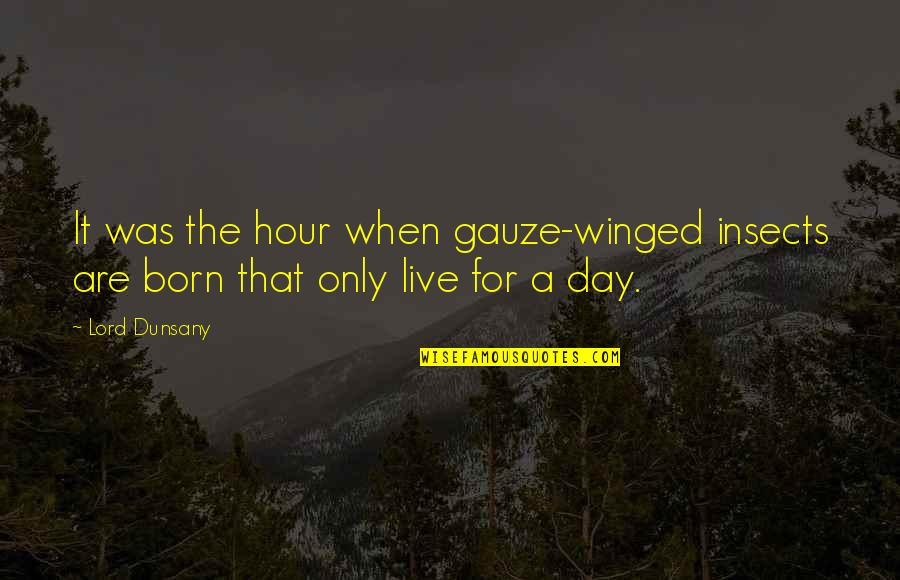 Motivate And Empower Quotes By Lord Dunsany: It was the hour when gauze-winged insects are
