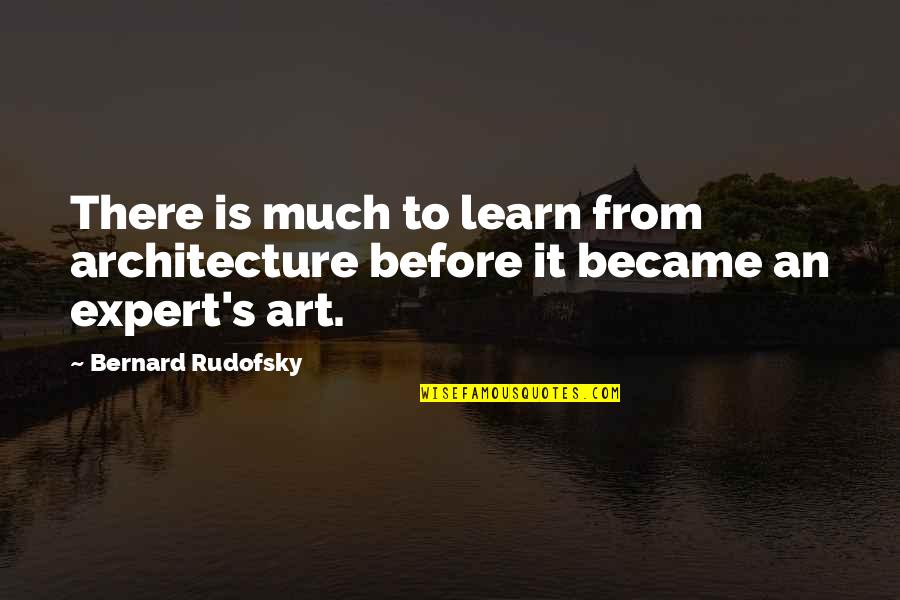 Motivation And Support Quotes By Bernard Rudofsky: There is much to learn from architecture before